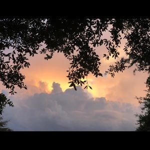 Meet your Posher, Adriana